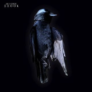 Rico Friebe — Shook (Ltd. Vinyl Edition) (LP) vinyl cover
