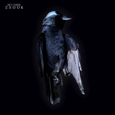 Rico Friebe — Shook (Ltd. Vinyl Edition) (LP) vinyl cover