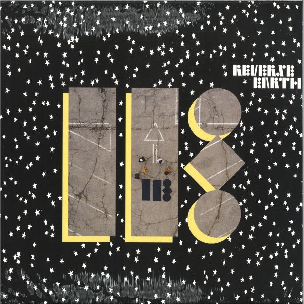 IE — Reverse Earth vinyl cover