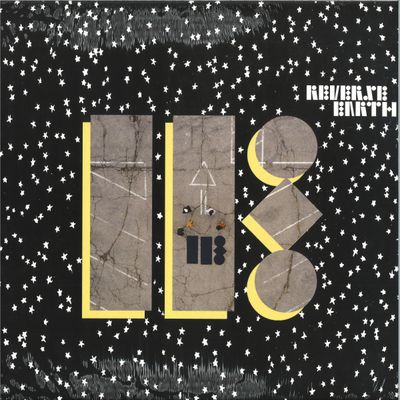 IE — Reverse Earth vinyl cover