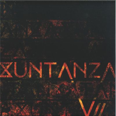 Various — untanza Vol. VII vinyl cover