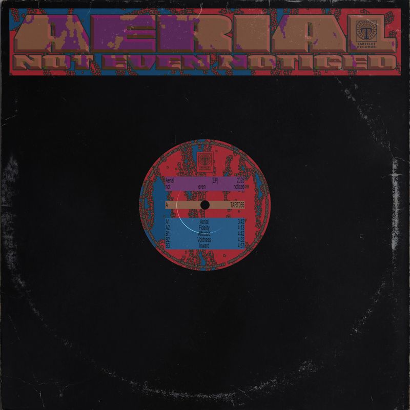 Not Even Noticed — Aerial vinyl cover