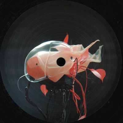Sascha Dive — Brothers Yard vinyl cover