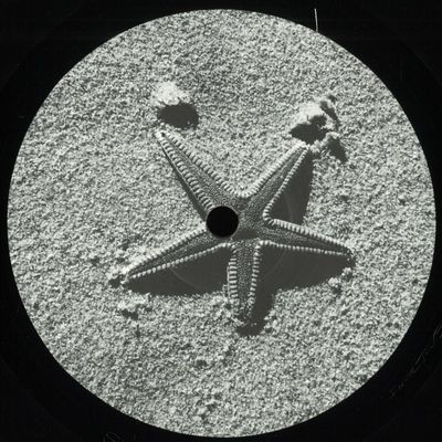Various — Untitled vinyl cover