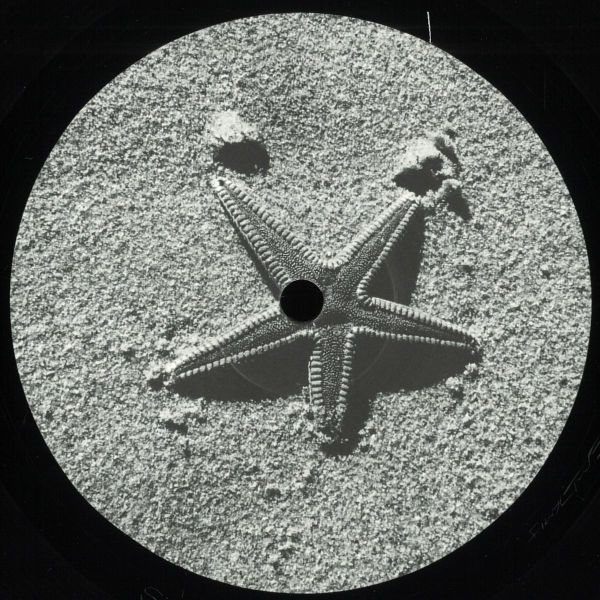 Various — Untitled vinyl cover