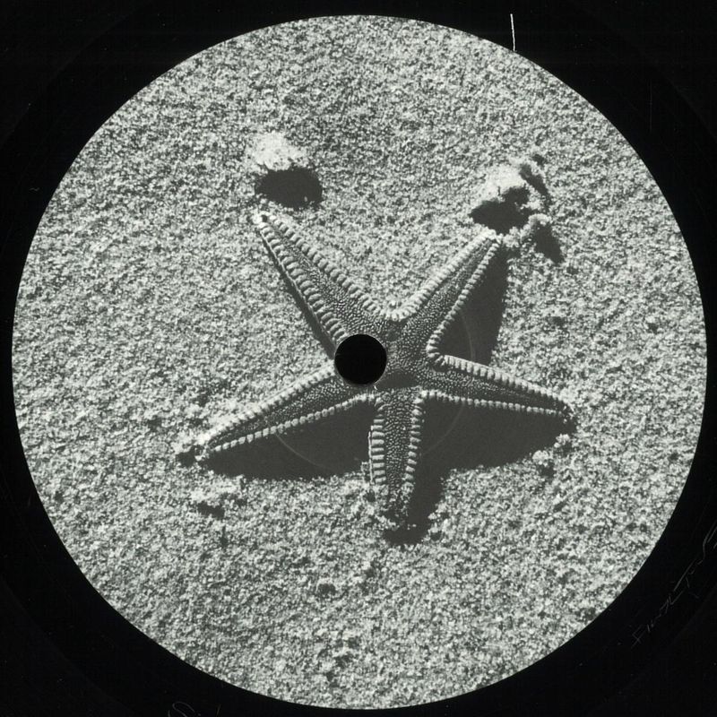 Various — Untitled vinyl cover