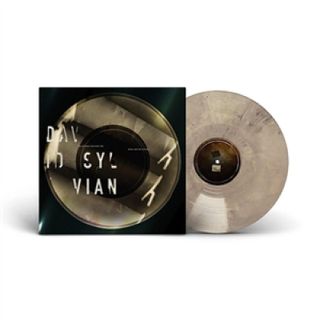 David Sylvian — THE DISTANCE BETWEEN THE KILLER AND THE KILLING vinyl cover