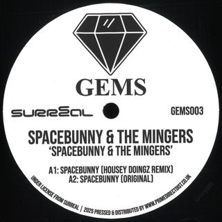 Spacebunny