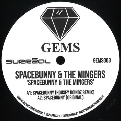 Spacebunny, The Mingers — Spacebunny / Fancy A Shag vinyl cover