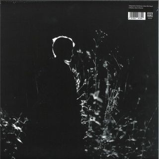 Alejandra Cárdenas (Ale Hop) — A Body Like a Home LP vinyl cover