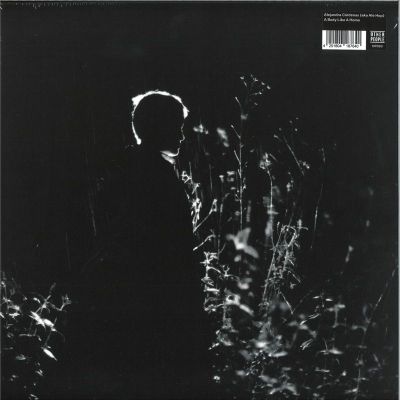 Alejandra Cárdenas (Ale Hop) — A Body Like a Home LP vinyl cover
