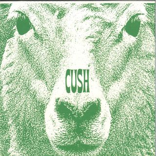 Cush