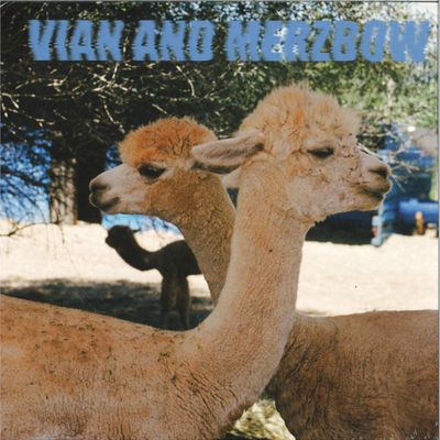 Pedro Vian, Merzbow — Inside Richard Serra Sculptures vinyl cover