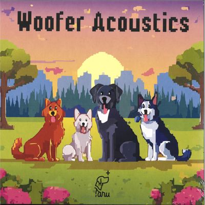 Various — Woofer Acoustics VA LP 2x12" vinyl cover