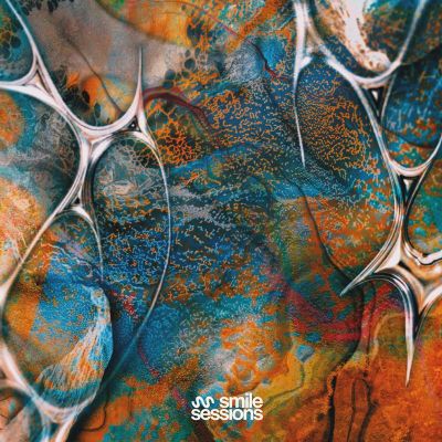 Various Artists — Workout Sessions Vol. 3 2x12 vinyl cover