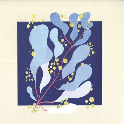 Salamanda — In Parallel LP vinyl cover