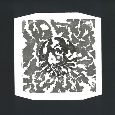 Bruce — The Price / Mimicry vinyl cover