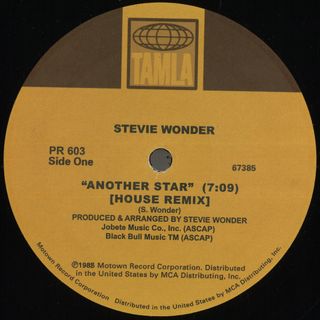 Stevie Wonder — Another Star / Too High (House Remixes) vinyl cover