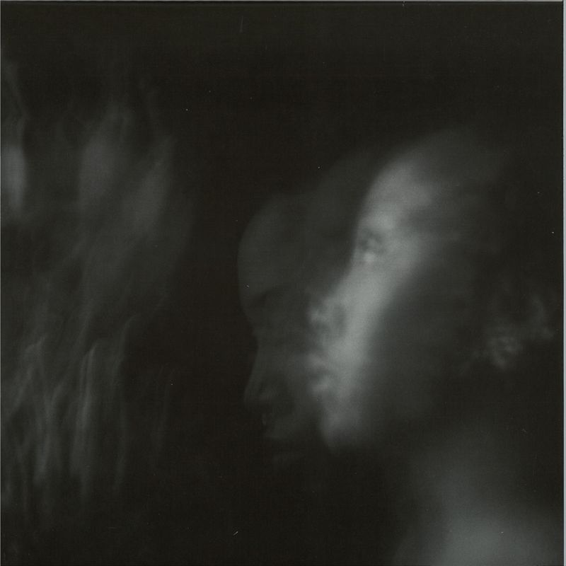 Niecy Blues — Exit Simulation vinyl cover