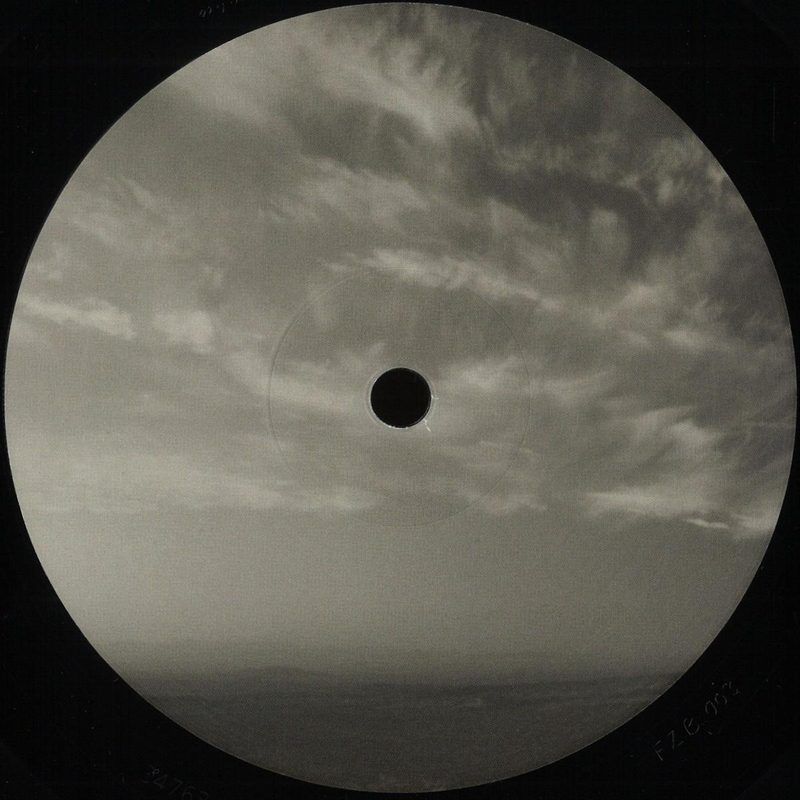Various — Form Is Emptiness vinyl cover