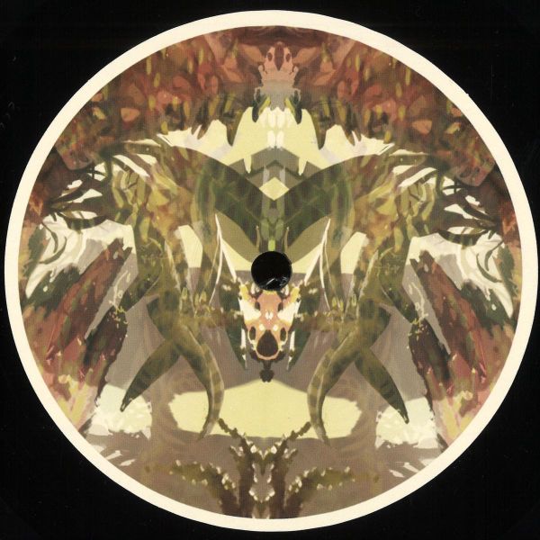 Birds ov Paradise — Savannah vinyl cover