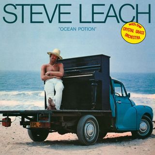 Steve Leach With The Crystal Grass Orchestra