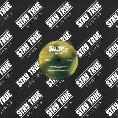 Various — Stay True Cutz Vol. 8 vinyl cover
