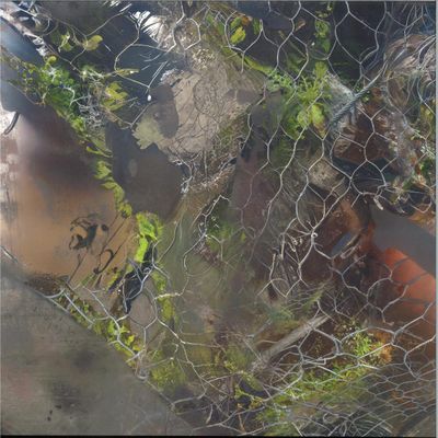 Aedis — Saense vinyl cover