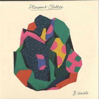 B.visible — Pleasant Clutter vinyl cover