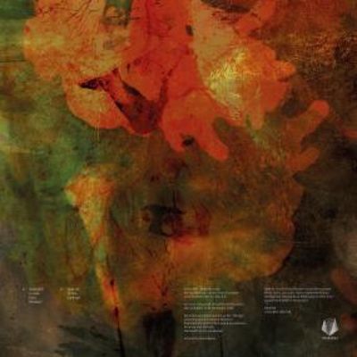 Rave AT Your Fictional Borders — ANALOGUE NOMADISM vinyl cover