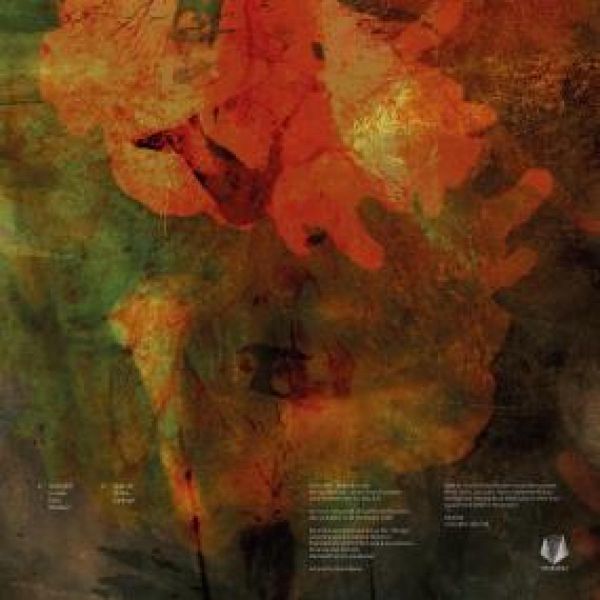 Rave AT Your Fictional Borders — ANALOGUE NOMADISM vinyl cover