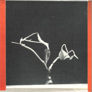 Pierre Bastien