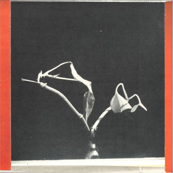Pierre Bastien, Casper Van De Velde — On a Tuesday and a Wednesday vinyl cover