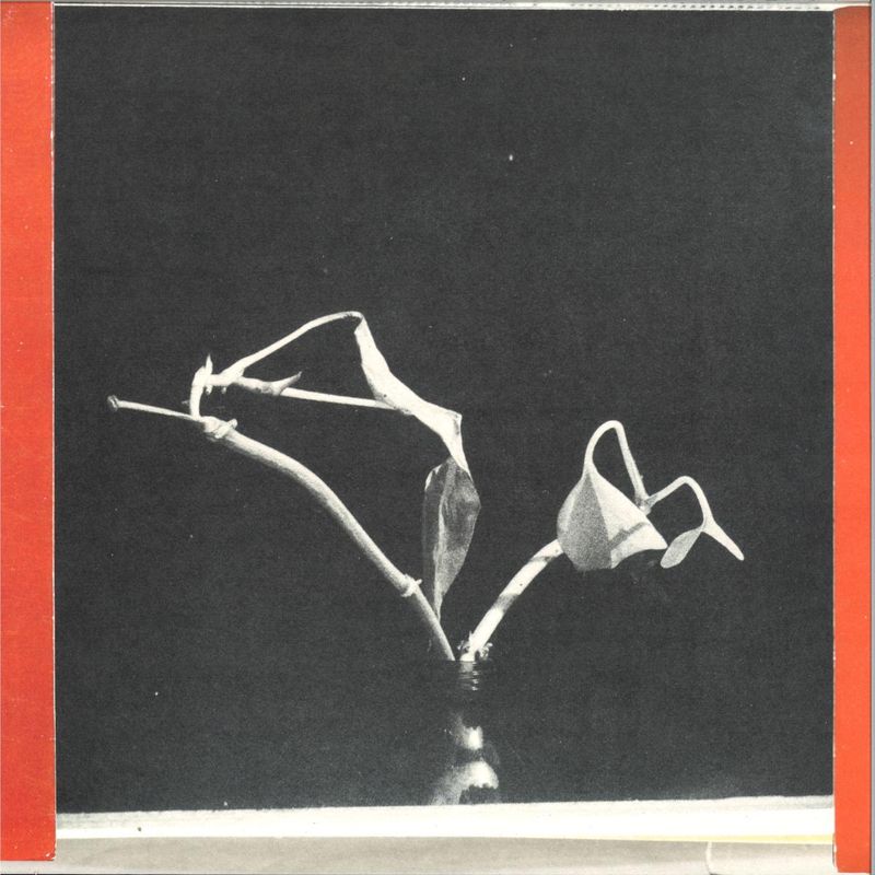 Pierre Bastien, Casper Van De Velde — On a Tuesday and a Wednesday vinyl cover