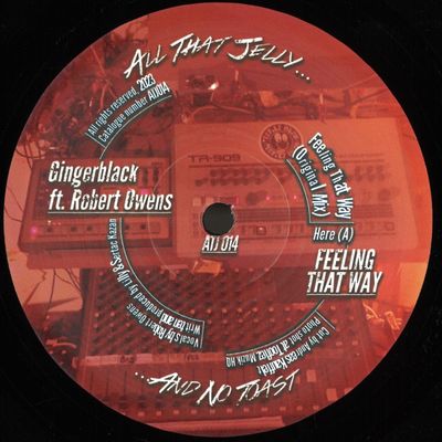 Gingerblack, Robert Owens — Feeling That Way vinyl cover