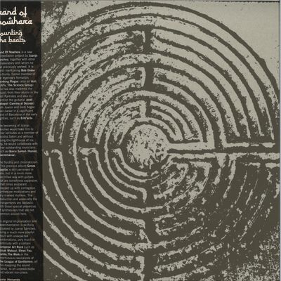 Band Of Nowhere — COUNTING THE BEATS vinyl cover