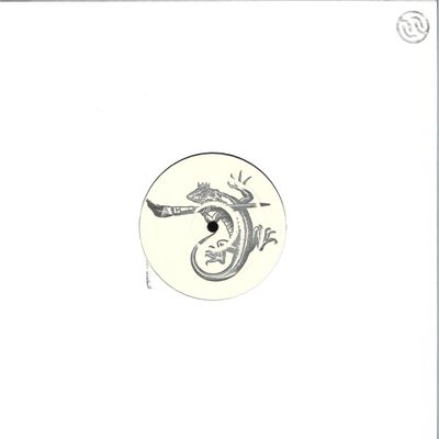 Unknown Artist — The Lizard EP vinyl cover