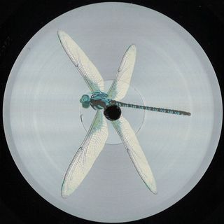 Priori — SCN EP vinyl cover