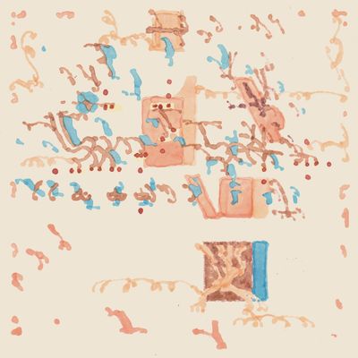 Shakali — Toinen Luonto vinyl cover