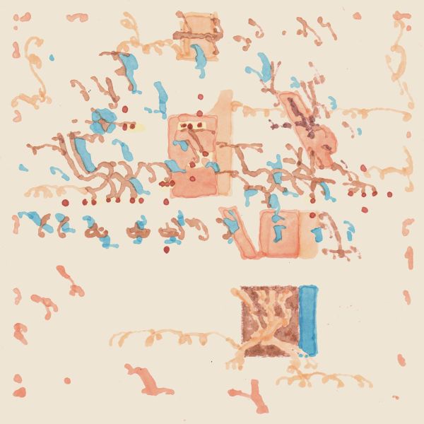 Shakali — Toinen Luonto vinyl cover