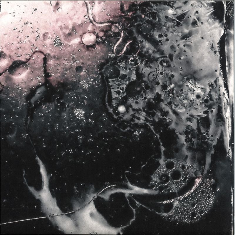 Esaïa — Mindscapes LP vinyl cover