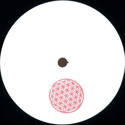 Skee Mask — Serum vinyl cover