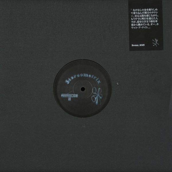 Stereometrix — Midnight Dub vinyl cover