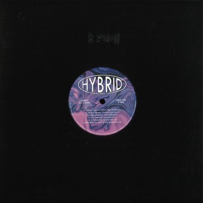 Ludmila Di Pasquale, Bermani, Lydia Eisenblätter — HYBRID TWO vinyl cover