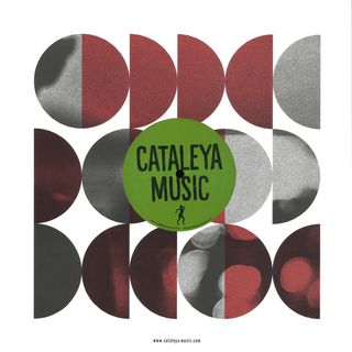 Coflo — If it Goes vinyl cover