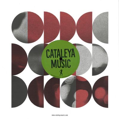 Coflo — If it Goes vinyl cover