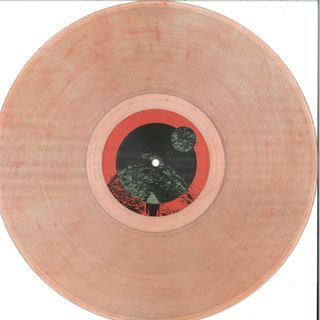Various — From the mountains with the flavor of the sea EP vinyl cover