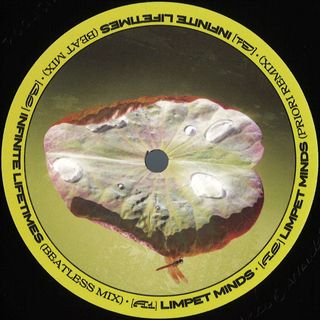 Biodive — Limpets Minds vinyl cover