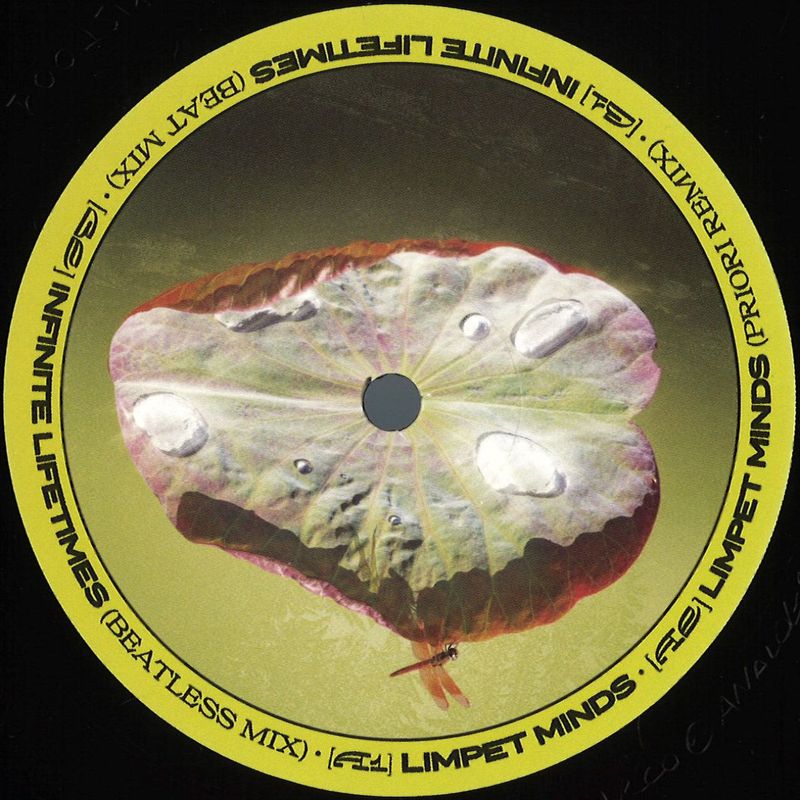 Biodive — Limpets Minds vinyl cover