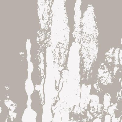 Rees — Music For Stalagmites vinyl cover